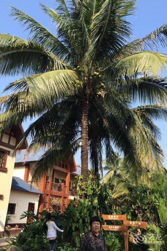 Hainan Bulongsai Resort Hotel Baoting Exterior foto